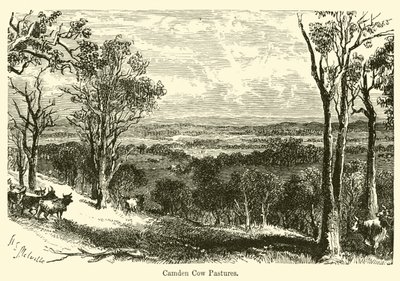 Camden Cow Pastures by Harden Sidney Melville